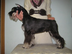 Кекс